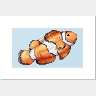 Cozy Clownfish Posters and Art